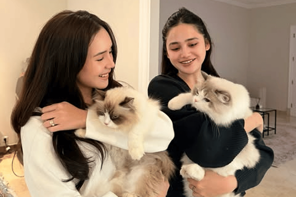 Beby Tsabina dan Syifa Hadju Gagal Jodohkan Kucing 2