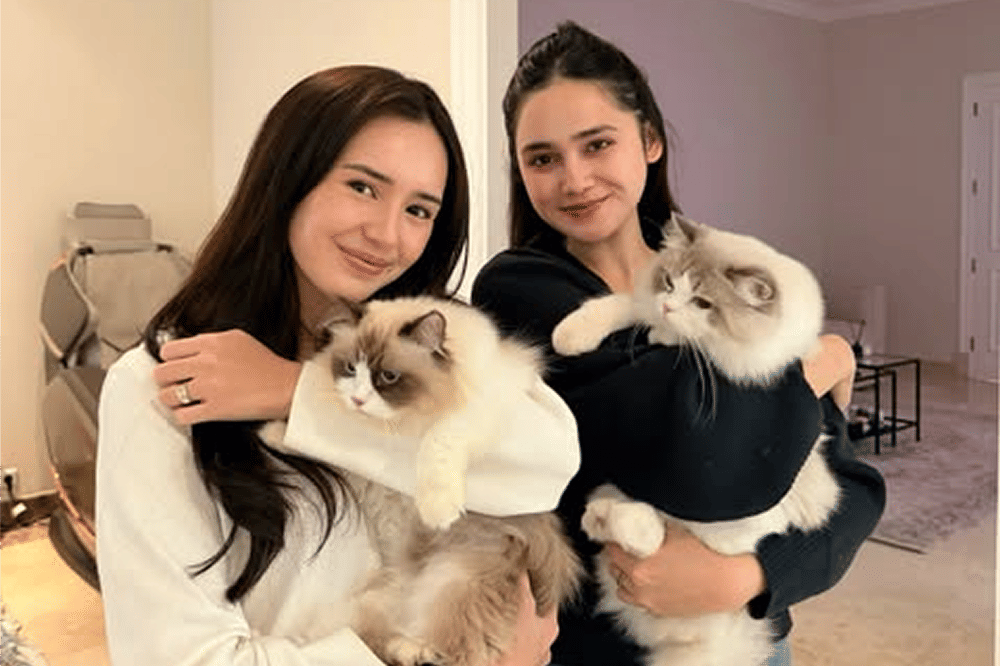 Batal Jadi Besan! Beby Tsabina dan Syifa Hadju Gagal Jodohkan Kucing