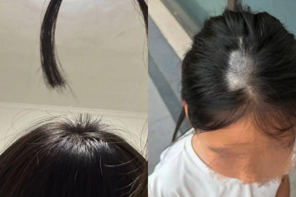 tren rambut antena di china 