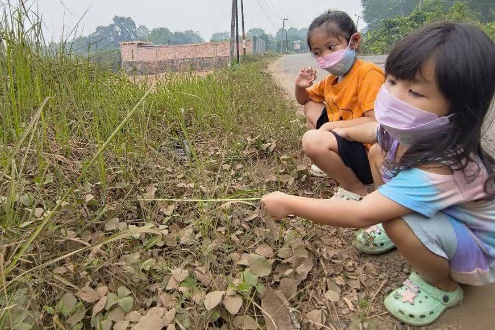 IDAI Soroti Karhutla, Ini Rekomendasi Cara Melindungi Anak dari Asap