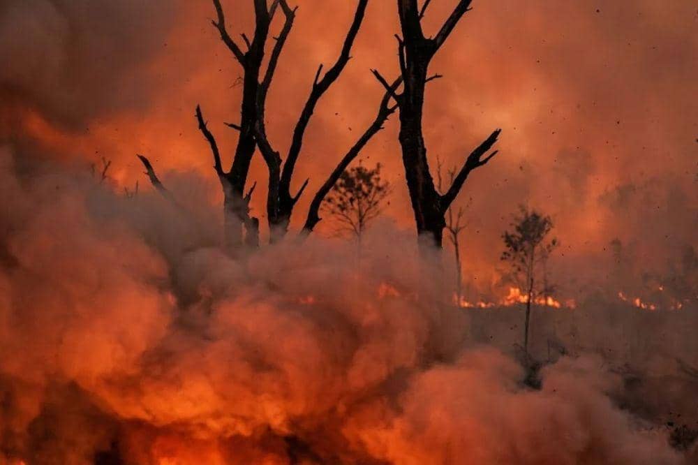 Paparan Asap Beracun Bisa Merusak Tubuh dan Masa Depan Anak