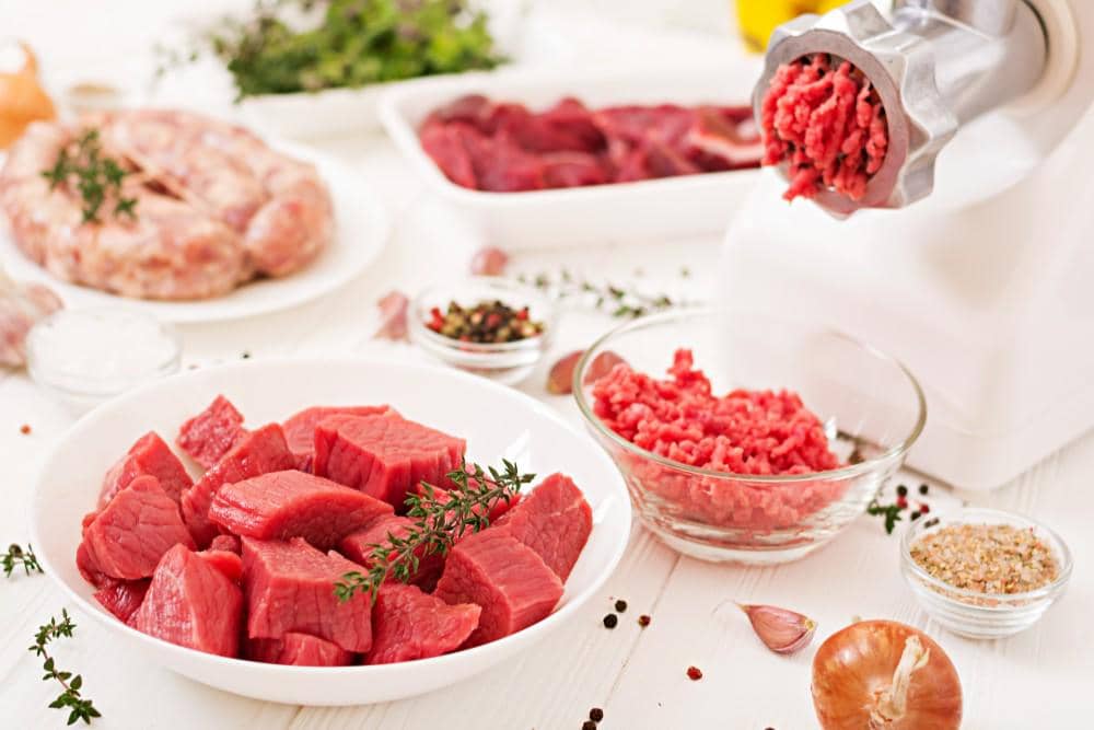 Sumber protein hewani yang bisa diberikan