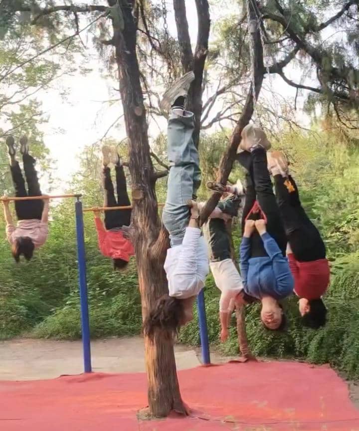 Tree hanging meditation tidak sepenuhnya aman
