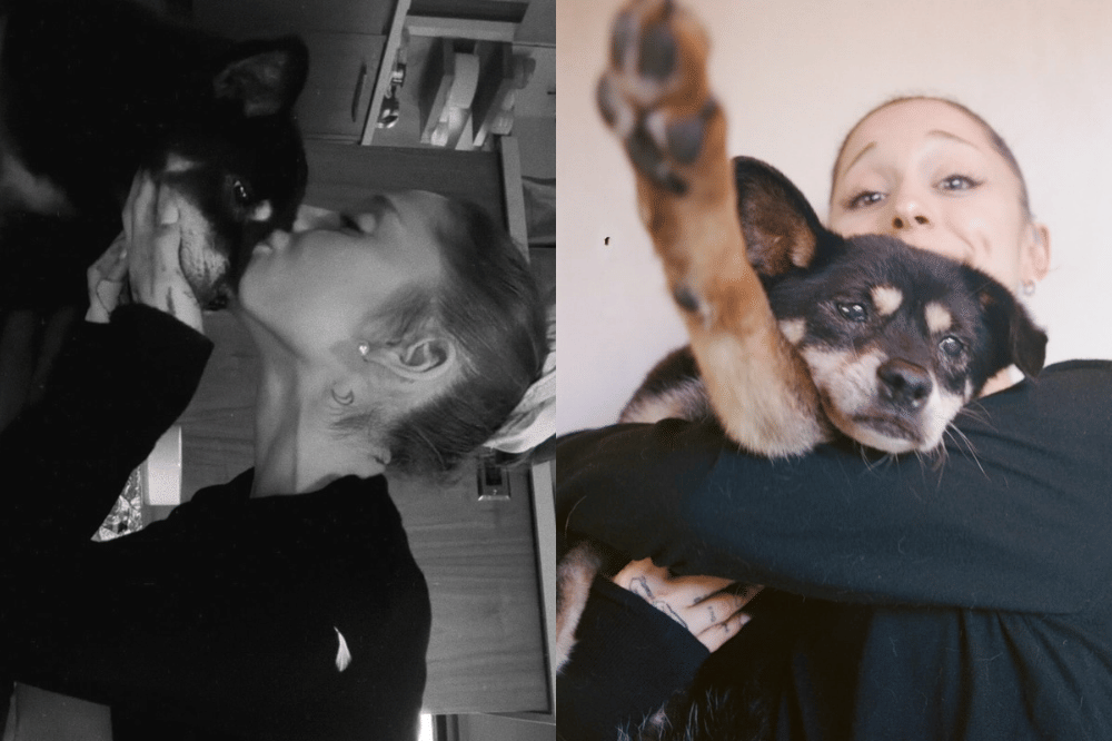 Ariana Grande Berduka, Anjing Peliharaannya Meninggal Dunia