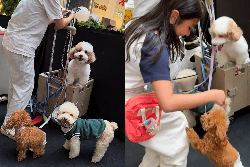 Richa Iskak Ajak Anak Main Arcade hingga Bertemu Poodle 4