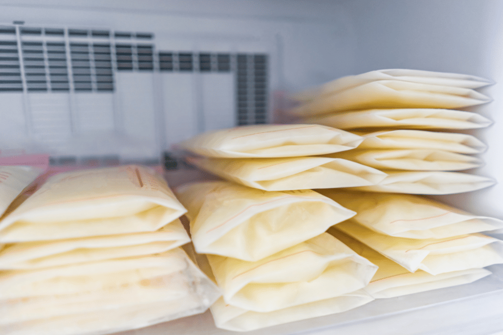 Letakkan ASIP di bagian dalam kulkas atau freezer 