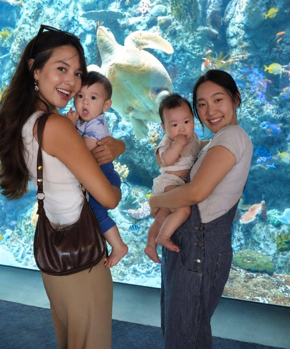 Baby Tommy playdate di akuarium bersama bayi lain